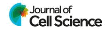 Journal of Cell Science