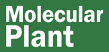 Molecular Plant